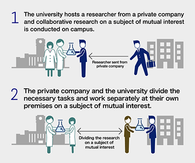 Forms of Collaboration